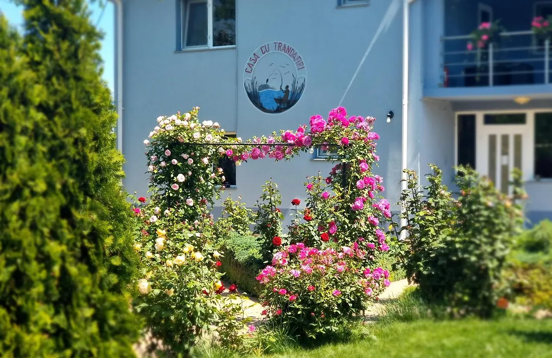 Casa cu Trandafiri Murighiol-1