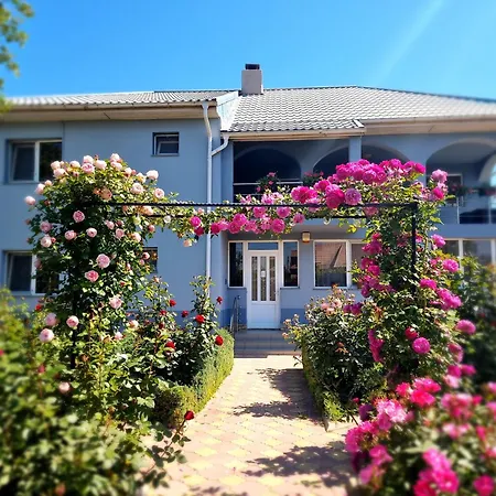 Casa cu Trandafiri Murighiol-2