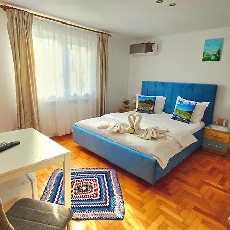 Casa cu Trandafiri Murighiol-3
